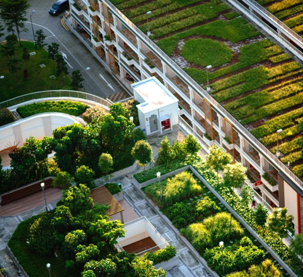 Reinvestment Reinvestment